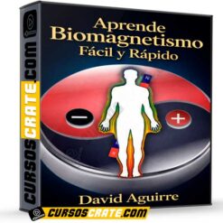 Aprende Biomagnetismo Fácil y Rápido  de David  Aguirre