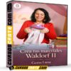 Crea tus materiales Waldorf II de Gema Luna Crea tus materiales Waldorf II de Gema Luna