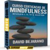 Curso Certificado de Midfulness. Niveles I, II, III & Master de David Bejarano Curso Certificado de Midfulness. Niveles I, II, III & Master de David Bejarano