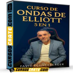 Curso de Ondas de Elliott 5 en 1 de Favio Schneeberger