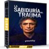 La Sabiduría del Trauma de Younity La Sabiduría del Trauma de Younity