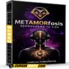 MetAMORfosis de Carlos Fernández MetAMORfosis de Carlos Fernández