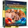 Taller Biomagnetismo Veterinario de Avelino Hervas Taller Biomagnetismo Veterinario de Avelino Hervas